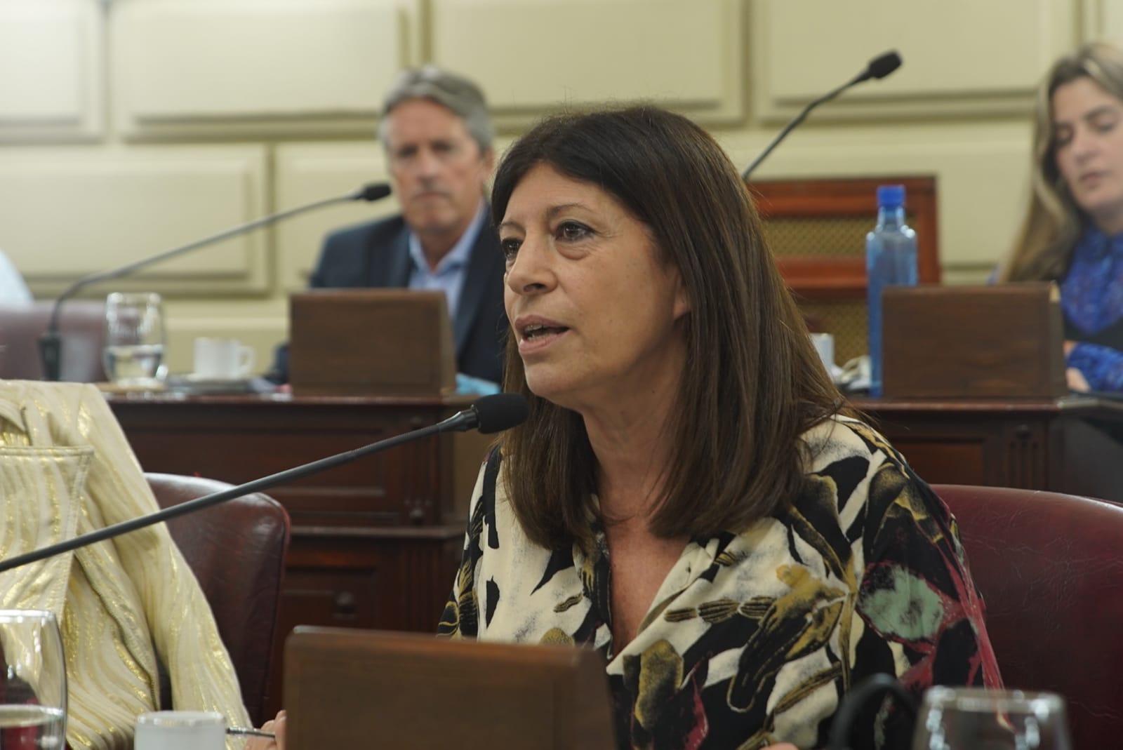 Clara García: “celebramos que santa fe cobre la deuda de anses reclamada y gestionada por el gobierno anterior”